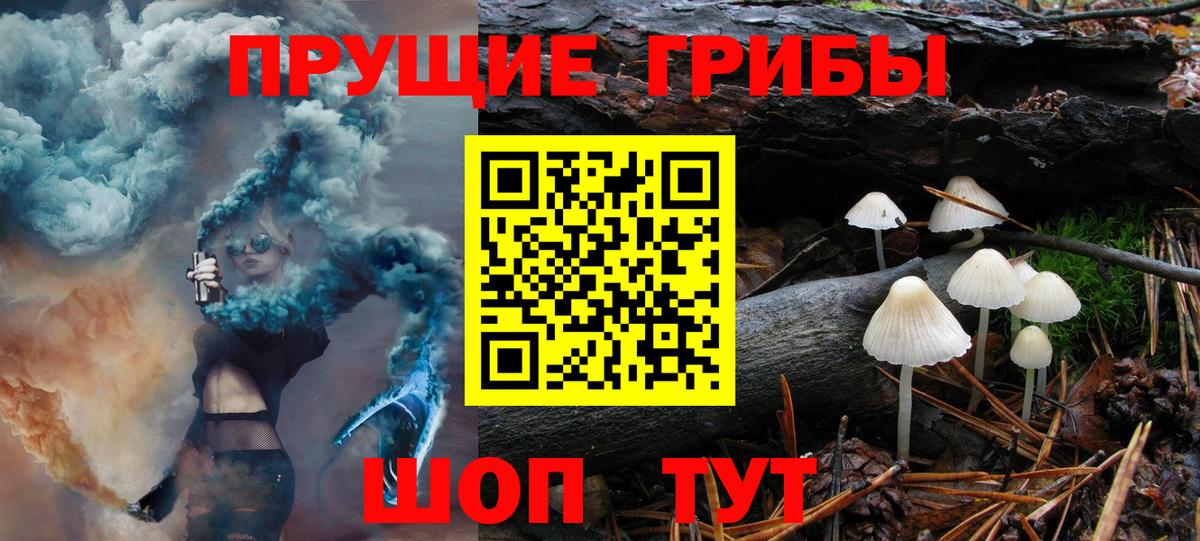 Георгиевск  магазин продажи наркотиков  Вход с VPN  Галлюциногенные грибы Psilocybine cubensis 