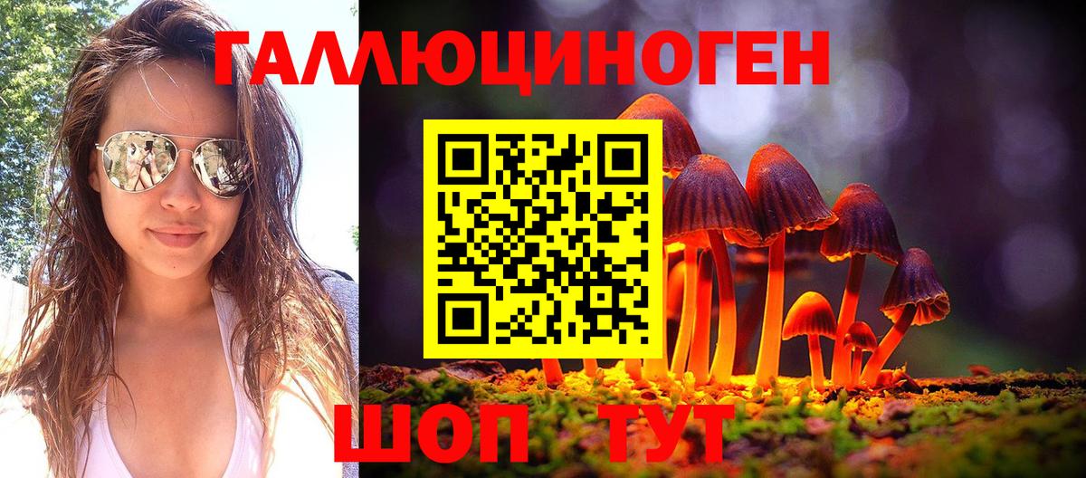 Псилоцибиновые грибы прущие грибы Георгиевск