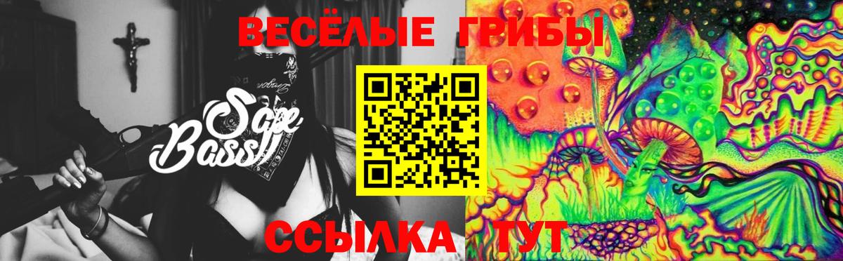 Галлюциногенные грибы мицелий  Георгиевск 